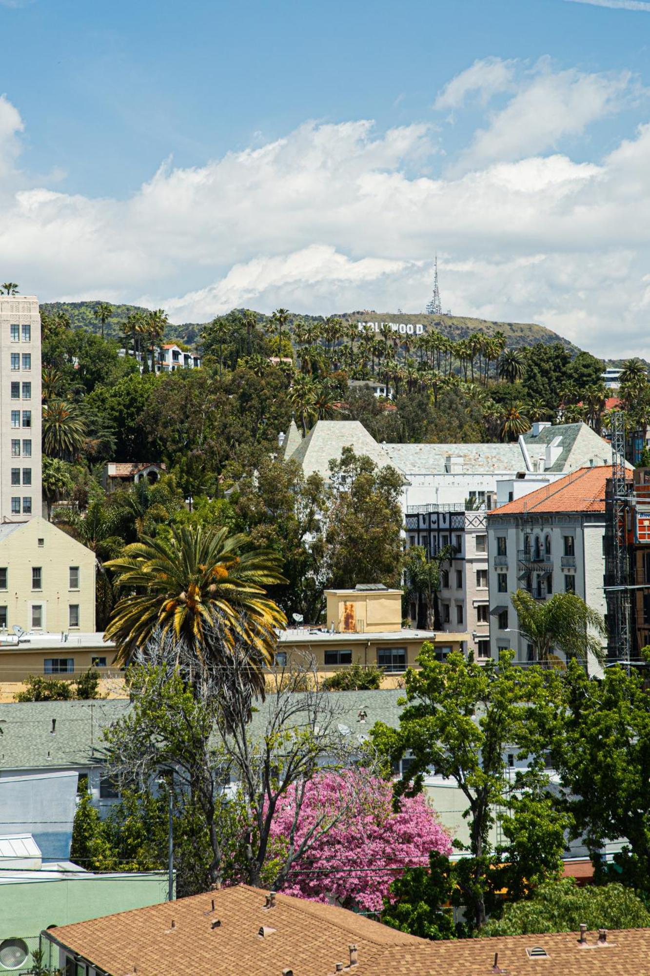 Luxury Apartment With The Hollywood Hills View Los Ángeles Exterior foto